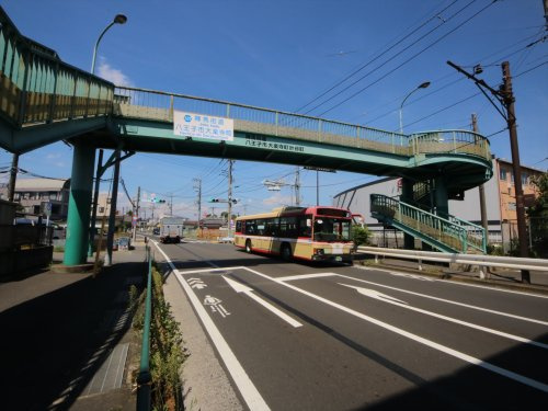 大楽寺町――「甲州裏街道」としての陣馬街道