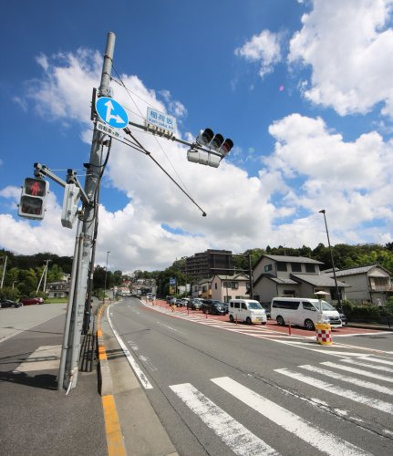 中野山王――四半世紀を経てようやく完成