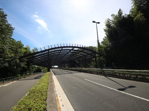 宮下町――「都内唯一」が２つもある新滝山街道