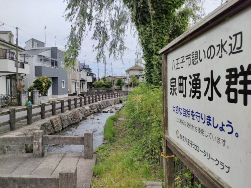 泉町――その魅力は「湧き水の流れが美しい水の郷」
